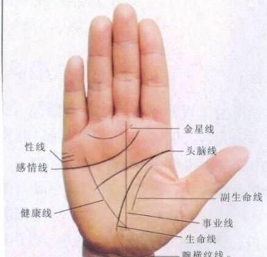 婚姻不顺的掌纹 这几种手相的人感情不好