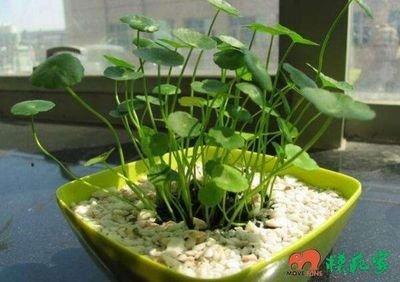 客厅装修有十二项禁忌 风水顺畅才能够财源广进