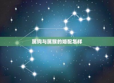 婚姻六害指的是什么(婚姻宫六冲是什么意思)
