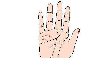 婚姻线中间分叉图解 婚姻线中间分叉是什么意思 婚姻线中间分叉图解 婚姻线中间分叉是什么意思