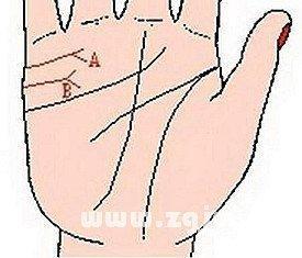 婚姻线中间分叉图解 婚姻线中间分叉是什么意思 婚姻线中间分叉图解 婚姻线中间分叉是什么意思