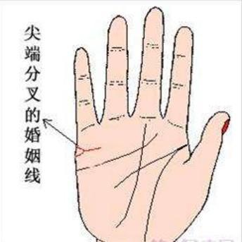 婚姻线中间分叉图解分析 婚姻线中间分叉说明什么