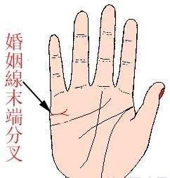 婚姻线分叉代表什么意思 婚姻线分叉的人命运好吗