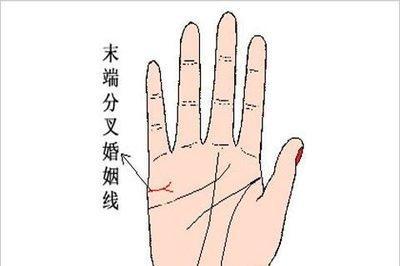 婚姻线分叉代表什么意思 婚姻线分叉的人命运好吗
