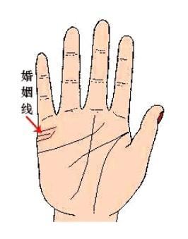 婚姻线分叉图解分析 手中的婚姻线分叉好不好