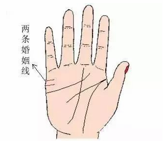 婚姻线分叉图解分析 手中的婚姻线分叉好不好