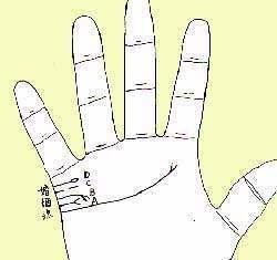 婚姻线分叉就一定会离婚吗 婚姻线分叉是什么意思