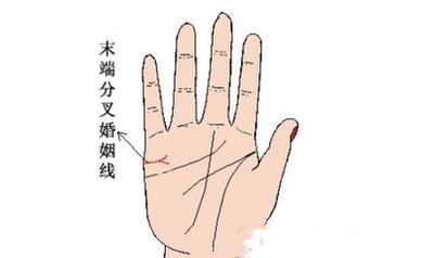 婚姻线分叉的命运如何 婚姻线分叉是什么意思