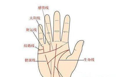 婚姻线和感情线相交代表什么真的知道吗
