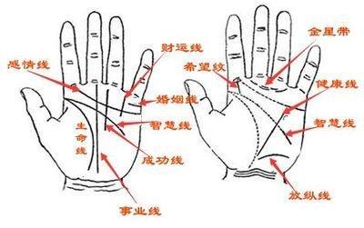 婚姻线图解大全 看婚姻线了解婚姻状况