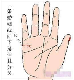 婚姻线有分叉说明了什么 手相婚姻线分叉好吗