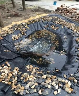 家庭住宅都有哪些风水禁忌值得收藏