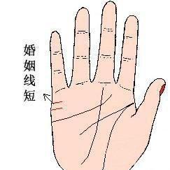 婚姻美满的手相什么特征懂得经营感情