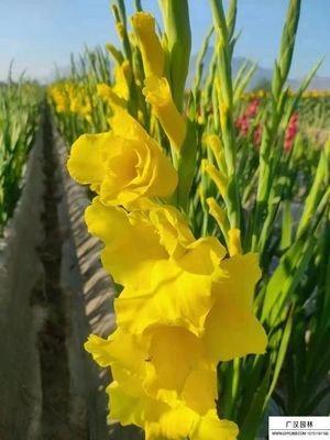 家庭和睦要具备4种风水条件有哪些