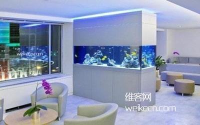 客厅鱼缸怎样放最旺财 关于鱼缸风水的方位说法