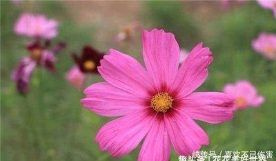 嫁给这四个生肖男不会为钱发愁 这些生肖男有钱