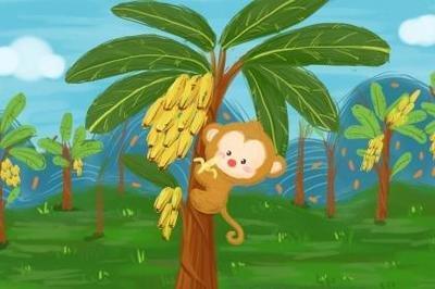 子时属猴人的命运 属猴子时生人怎么样