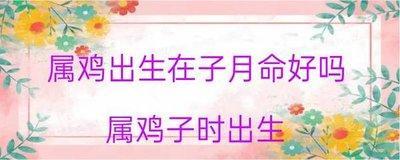 子时属鸡人的命运 属鸡子时生人怎么样