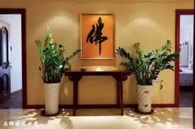 家里养什么植物增加财运 养植物有什么讲究