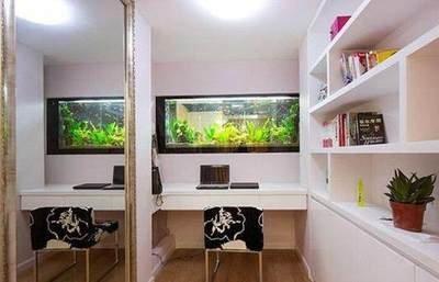 家中摆放鱼缸都有哪些风水上的禁忌事项