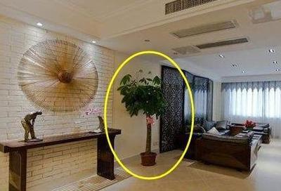 家里风水有问题如何化解 有哪些好的方法