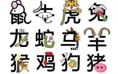 家中有这几个生肖之一 2025年易招灾祸上门