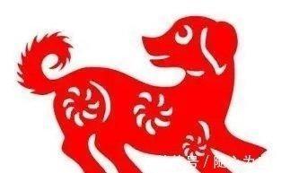 家中有这几个生肖之一 2025年易招灾祸上门