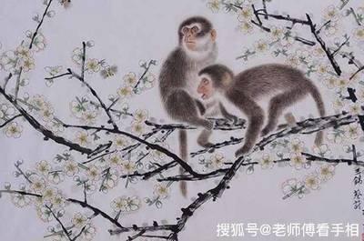 家中有这几个生肖家庭必定会兴旺 看看你家有没有