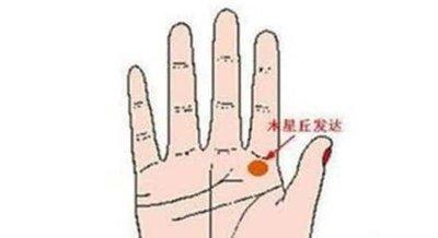 容易发财的手相特征 什么样的手相容易发财