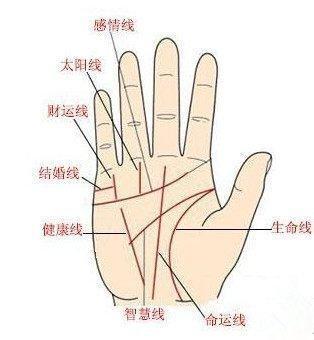 容易发财的手相特征 手相如何的人容易发财
