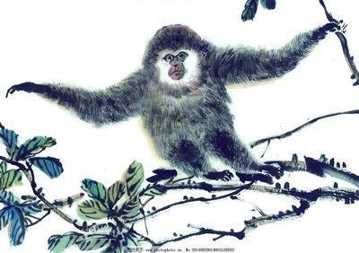 容易朝三暮四的3个生肖 感情中朝三暮四的生肖分析