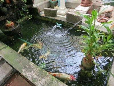 家前池塘风水好不好 住宅前方有池塘的风水说法