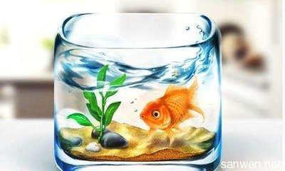 家居中养鱼的催财风水 如何摆放鱼缸(图文)