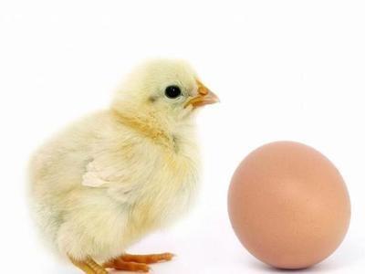 容易遭“小人暗算”的4个生肖招小人