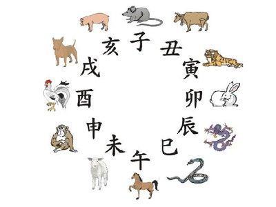 寅时是什么生肖，十二生肖中的寅时是什么时候