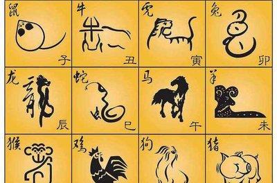富有心机的生肖 最有心机是哪些生肖