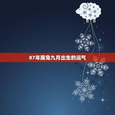 属兔的命运好不好 蛇年出生的人运势如何