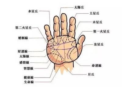 富贵的女人手相长什么样 富贵女人的手相有哪些特征
