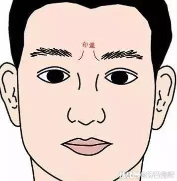 富贵眉毛特征是什么 哪几种眉毛面相的人富裕