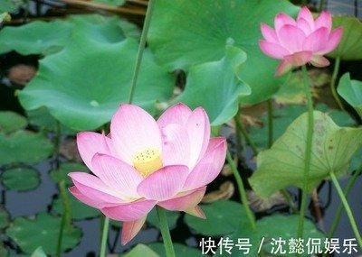 属兔的男人重感情吗 对待感情怎么样