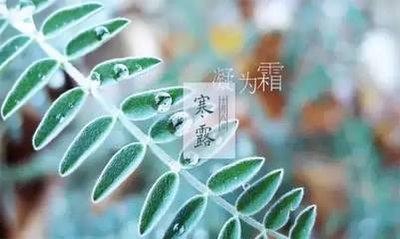 寒露的谚语有哪些，有关寒露的谚语