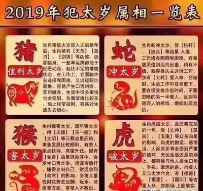 对属猪人明年运势造成负面影响的因素介绍