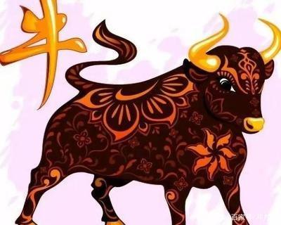 属牛2025年感情运势，属牛的2025年感情运势