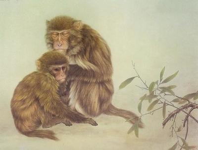 属猴人2025年运势与风水之间存在哪些联系