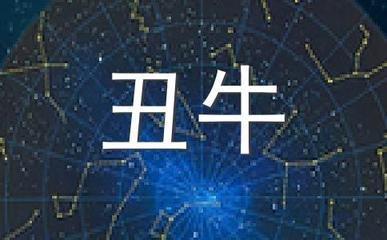 属牛2025年财运怎么样 蛇年属牛人几月份财运好