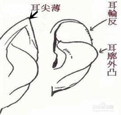 对感情专一的面相女人有什么特征 娶到绝对能幸福 对感情专一的面相女人有什么特征 娶到绝对能幸福