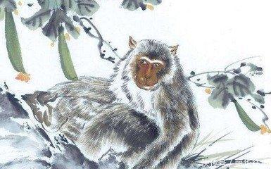 属猴人2025年运气如何  生肖猴什么运最好