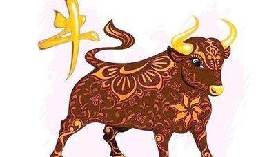 属牛2025年运势运程 2025年属牛的全年运势