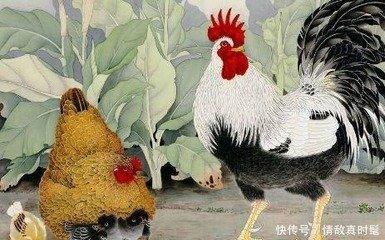 对爱情忠诚的三大生肖女感情生活好性格