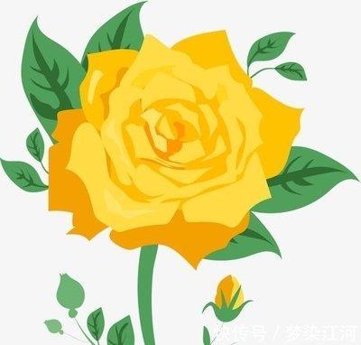 属猴人喜欢一个人的表现 属猴男人喜欢什么类型的女